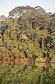 Lake Salvador, the largest oxbow lake in the lower Manu River